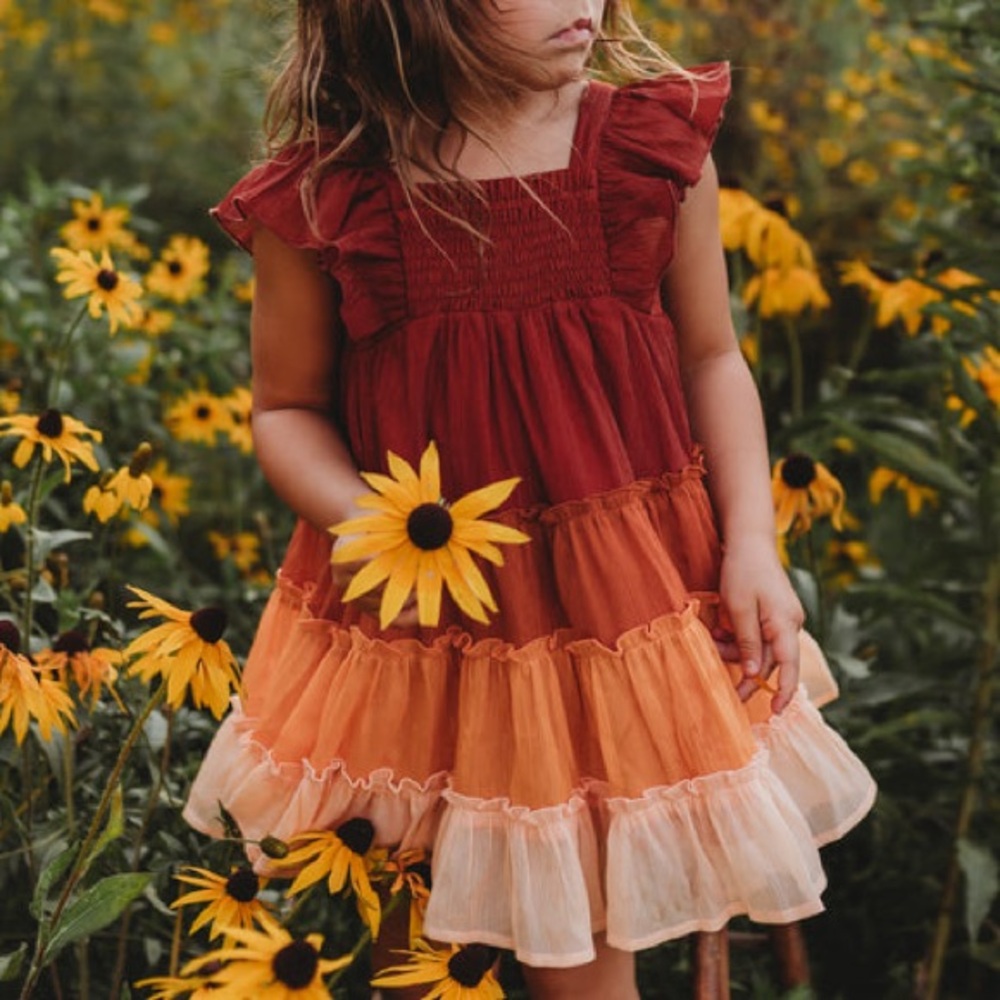 Cheeky Plum Girls Brielle Shimmer Ruffle Tiered Mini Dress Pumpkin Spice Size 5T